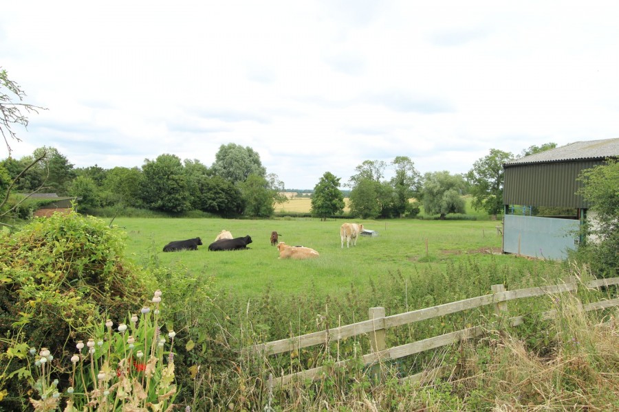 Images for Main Street, Bruntingthorpe